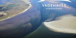 vadehavet vadehavet